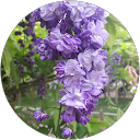 えつこ profile picture